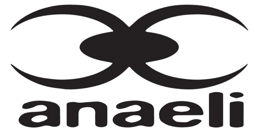 Logo ANAELI de 2000 à 2009