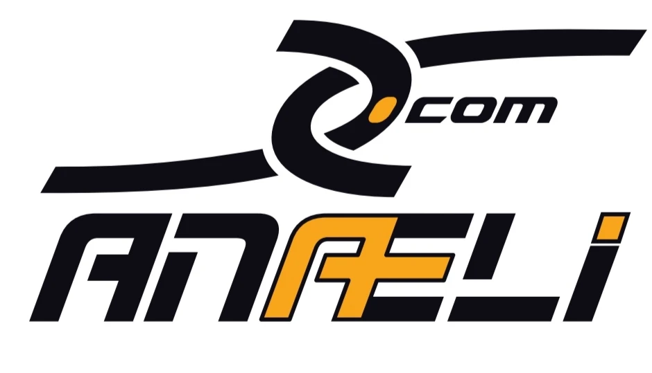 Logo ANAELI de 2015 à 2017