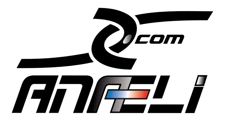 Logo ANAELI de 2018 à 2019