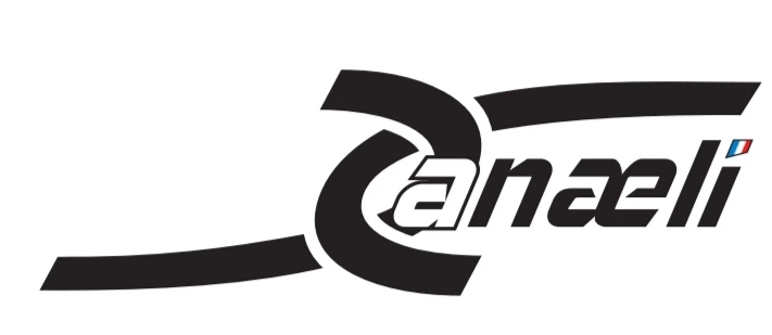 Logo ANAELI de 2020 à 2024