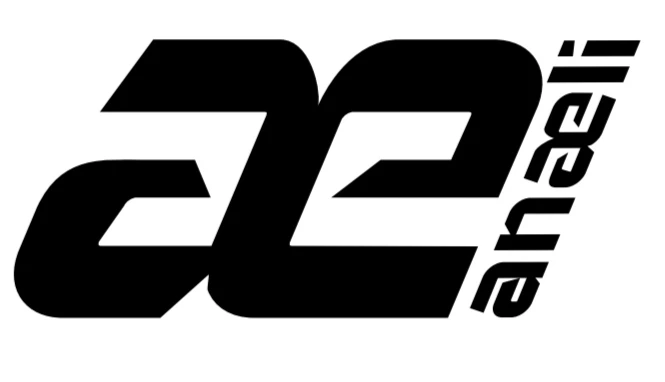 Logo ANAELI de 2024 à aujourd’hui